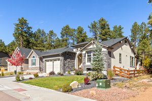 1566 Catnap Ln, Monument, CO 80132, USA Photo 3