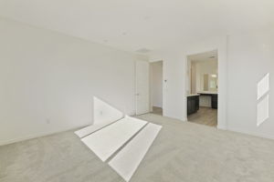  Photo 50