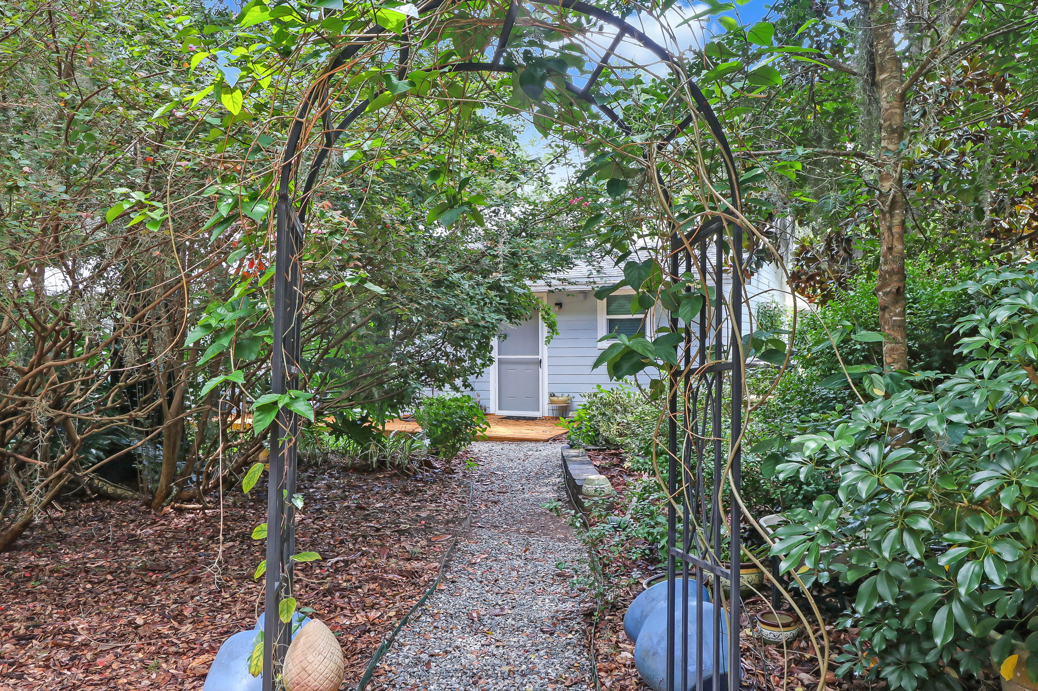 Backyard