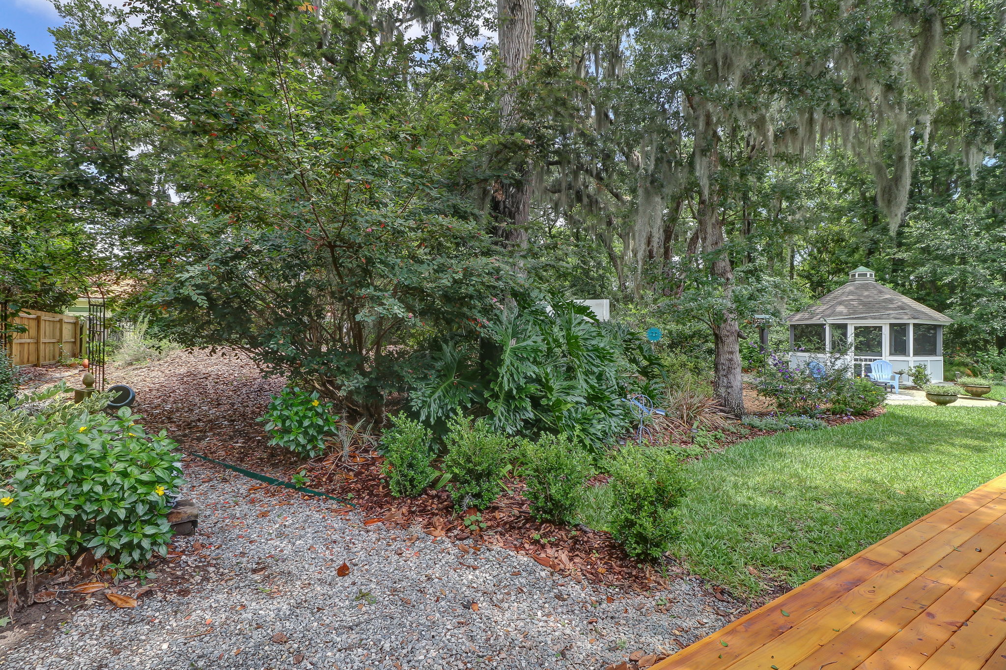 Backyard