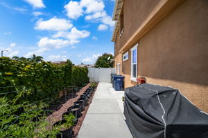  Photo 43