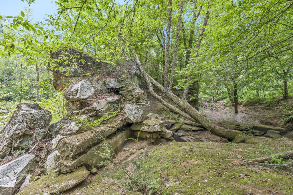  Photo 100