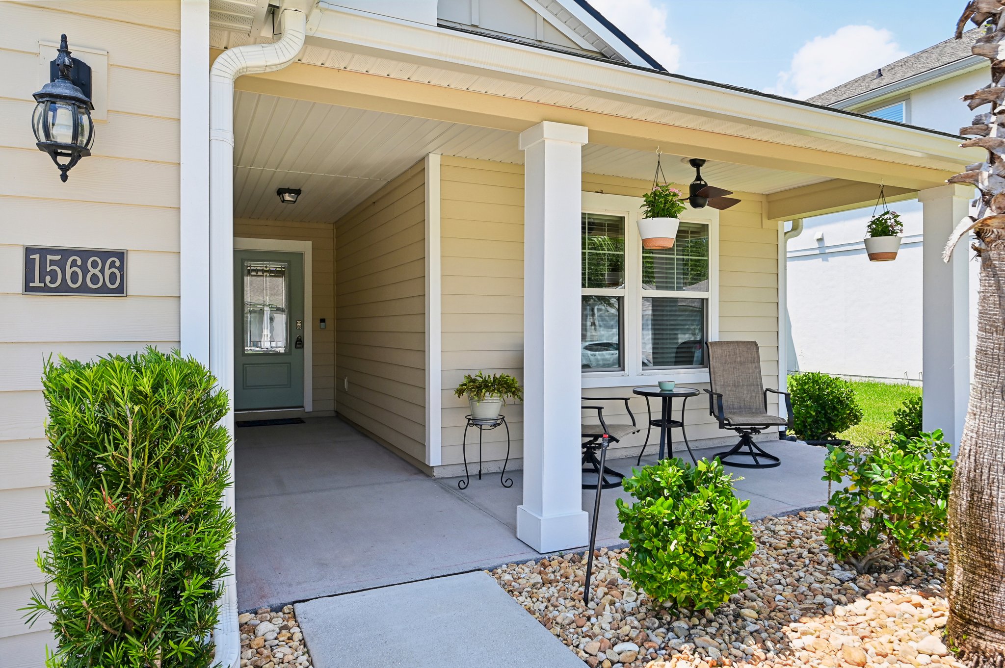 Chir Pine Dr-005.jpg