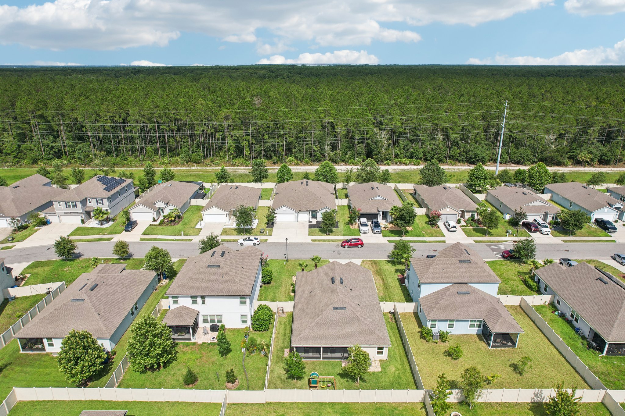 Chir Pine Dr-041.jpg