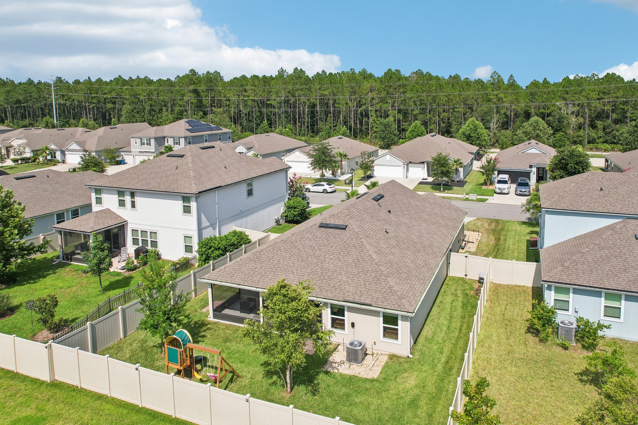 Chir Pine Dr-047.jpg