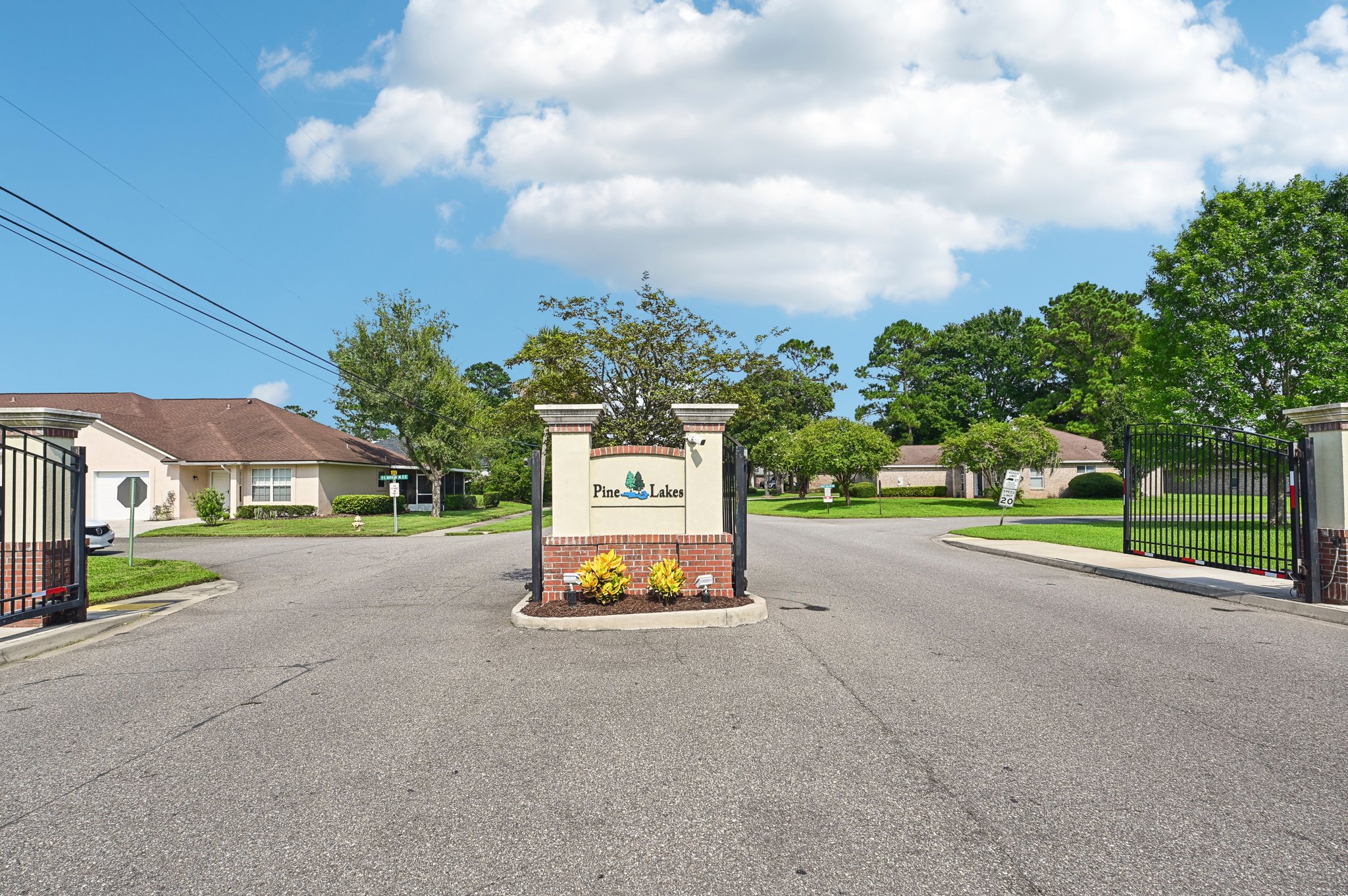 Chir Pine Dr-054.jpg