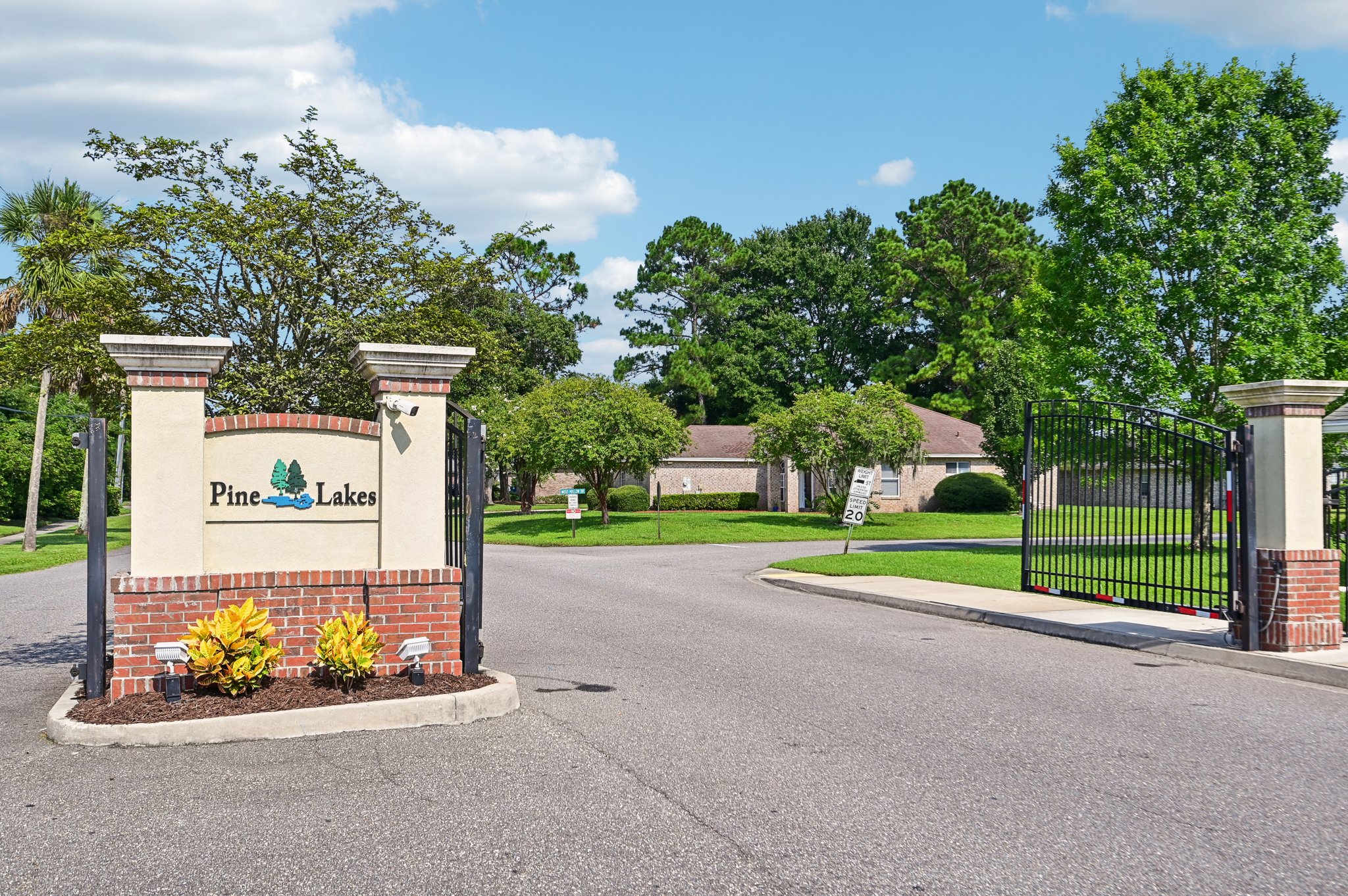 Chir Pine Dr-055.jpg
