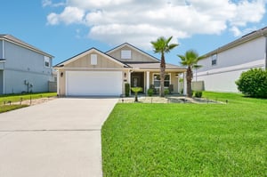 Chir Pine Dr-002.jpg