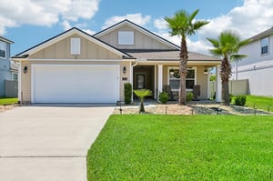 Chir Pine Dr-003.jpg
