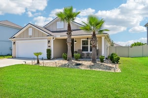 Chir Pine Dr-004.jpg