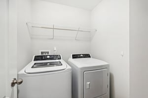 Chir Pine Dr-020.jpg