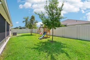Chir Pine Dr-035.jpg