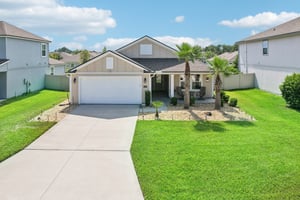 Chir Pine Dr-038.jpg