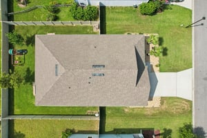 Chir Pine Dr-044.jpg