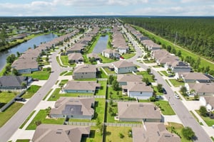 Chir Pine Dr-045.jpg