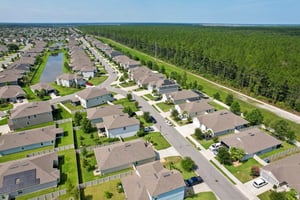 Chir Pine Dr-046.jpg