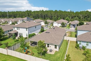 Chir Pine Dr-047.jpg