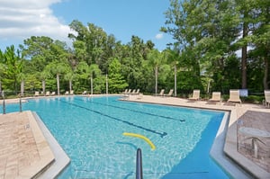 Chir Pine Dr-050.jpg