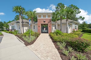 Chir Pine Dr-051.jpg
