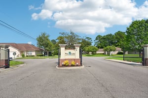 Chir Pine Dr-054.jpg
