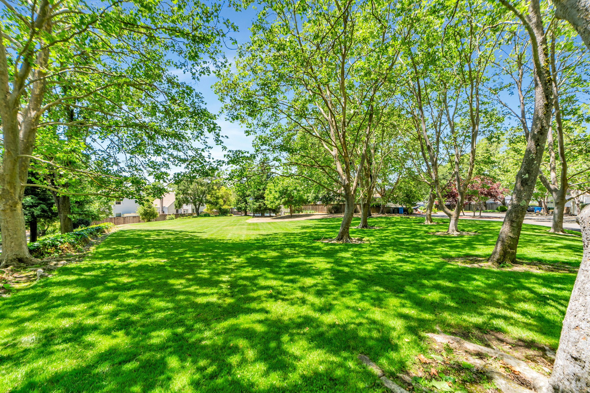 035_1569 Yardley St