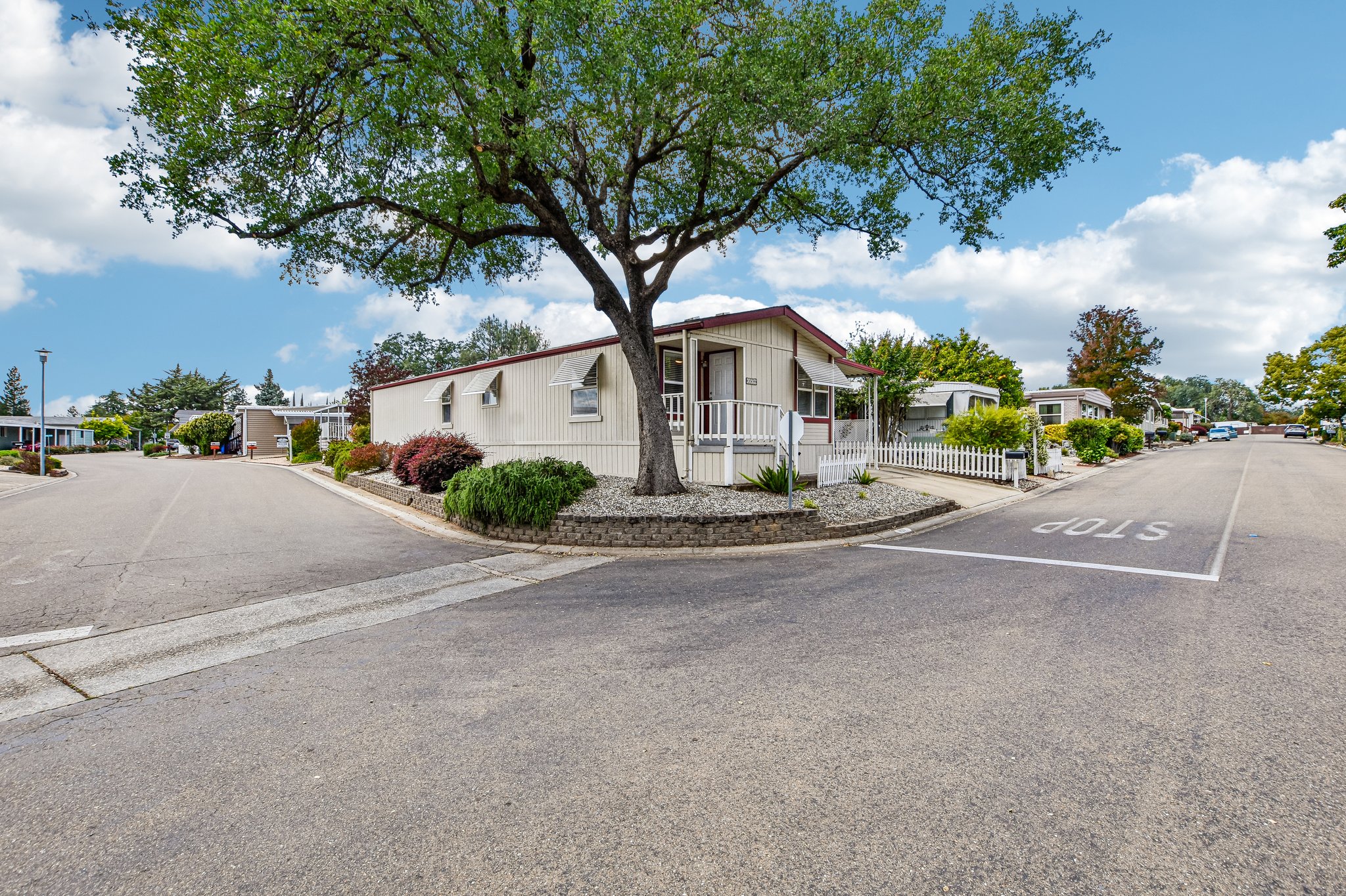 Danielle Way-S2904-003.jpg