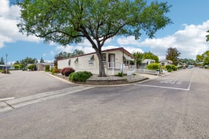 Danielle Way-S2904-003.jpg