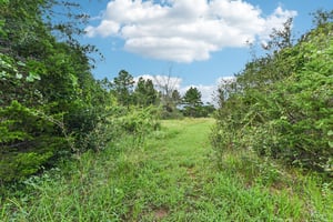 Old Firetower Rd-S1207-048.jpg