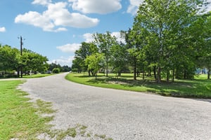 Old Firetower Rd-S1207-051.jpg