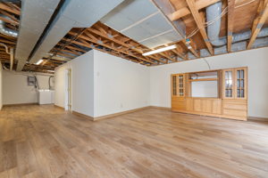 Basement - Family Room
