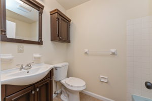 Hall Bathroom