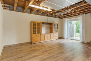 Basement - Family Room