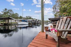 Boat Dock