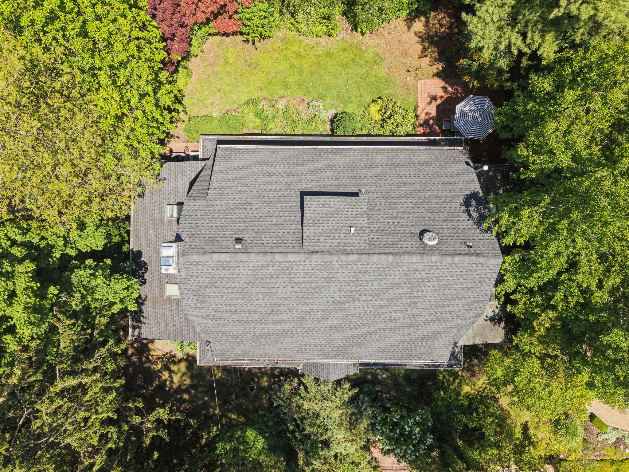 VMD005Drone.jpg