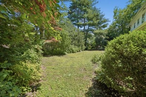 DSC07416.jpg