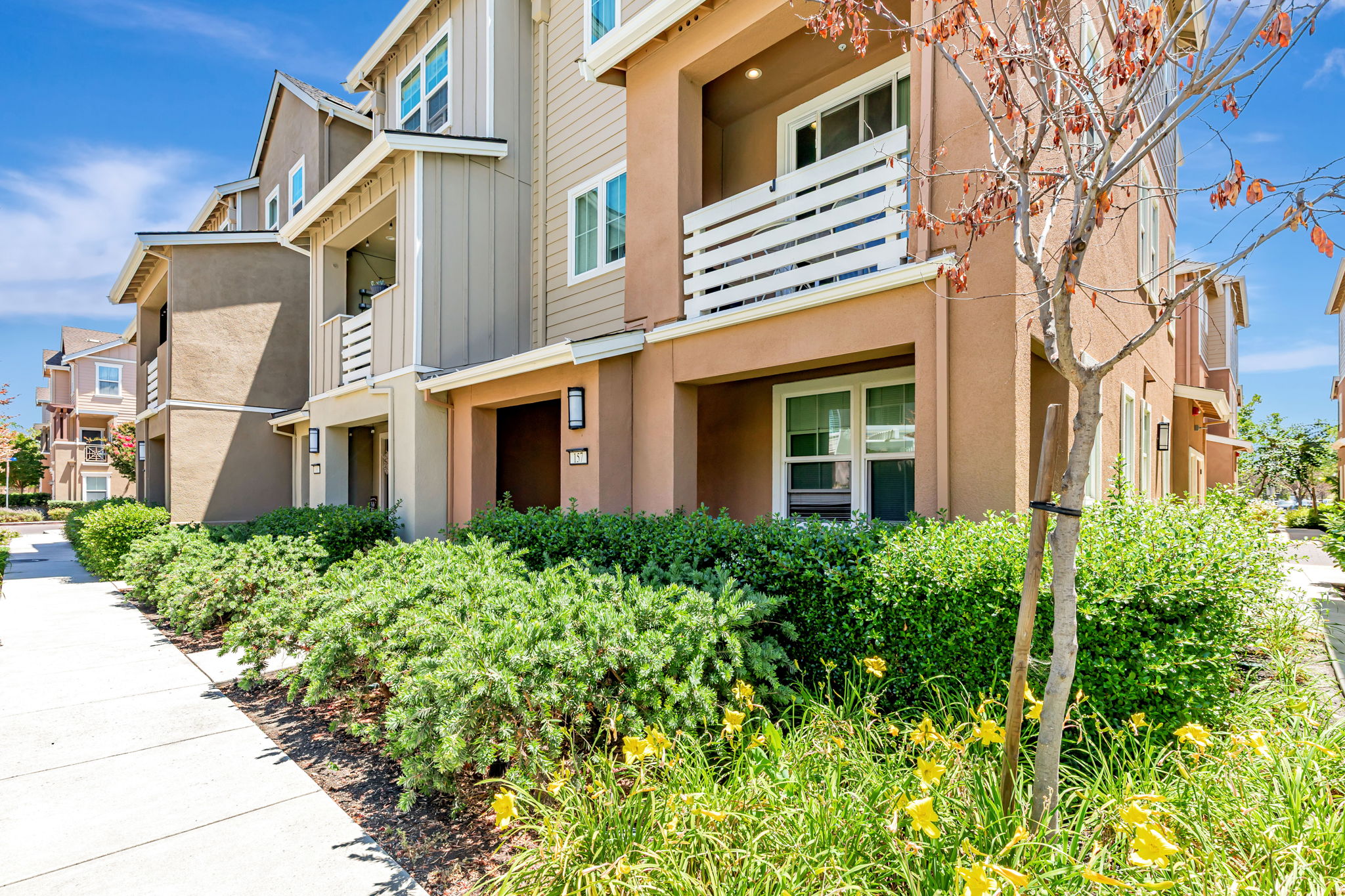 001_157 Triggs Ln