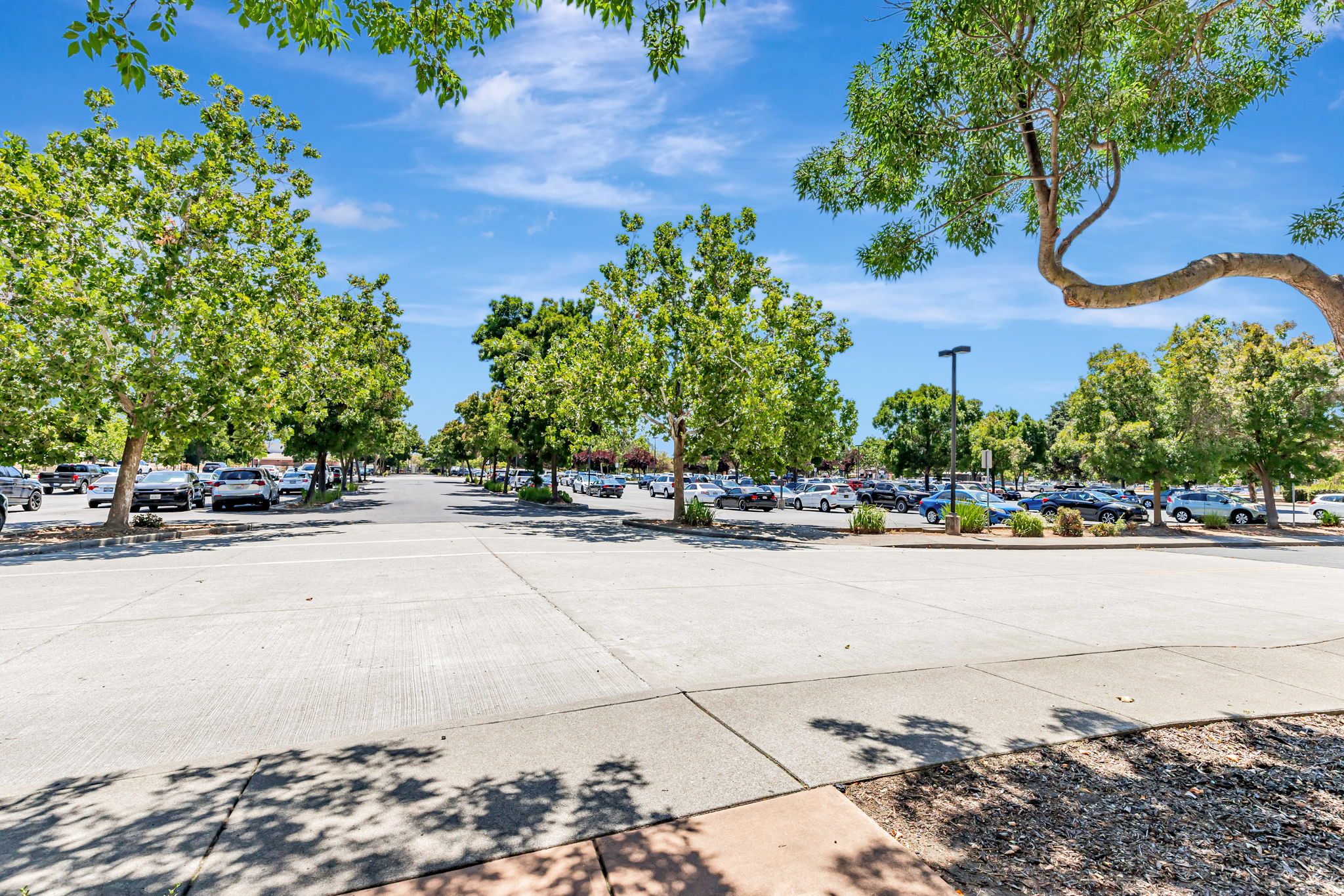 048_157 Triggs Ln