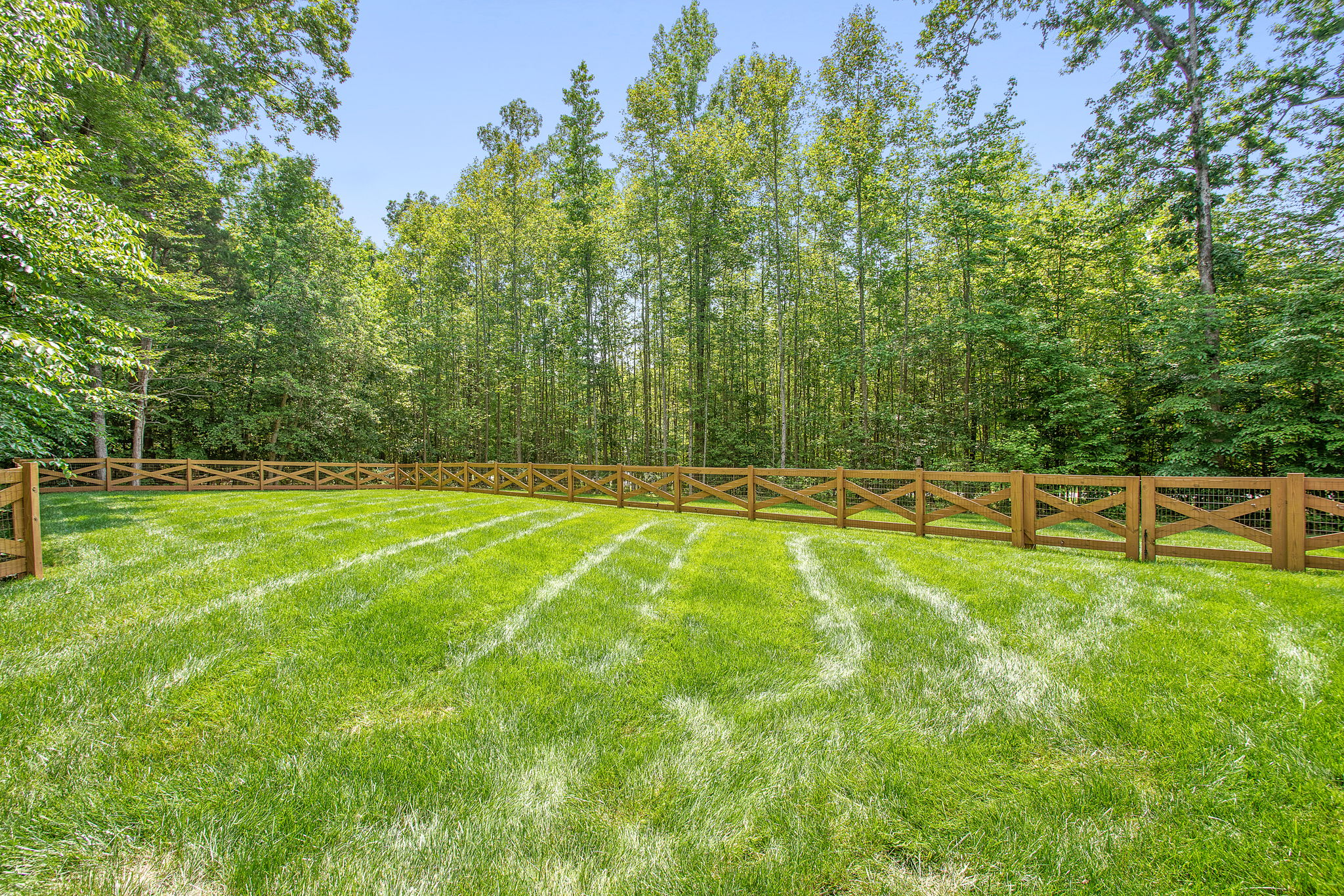 42-Backyard