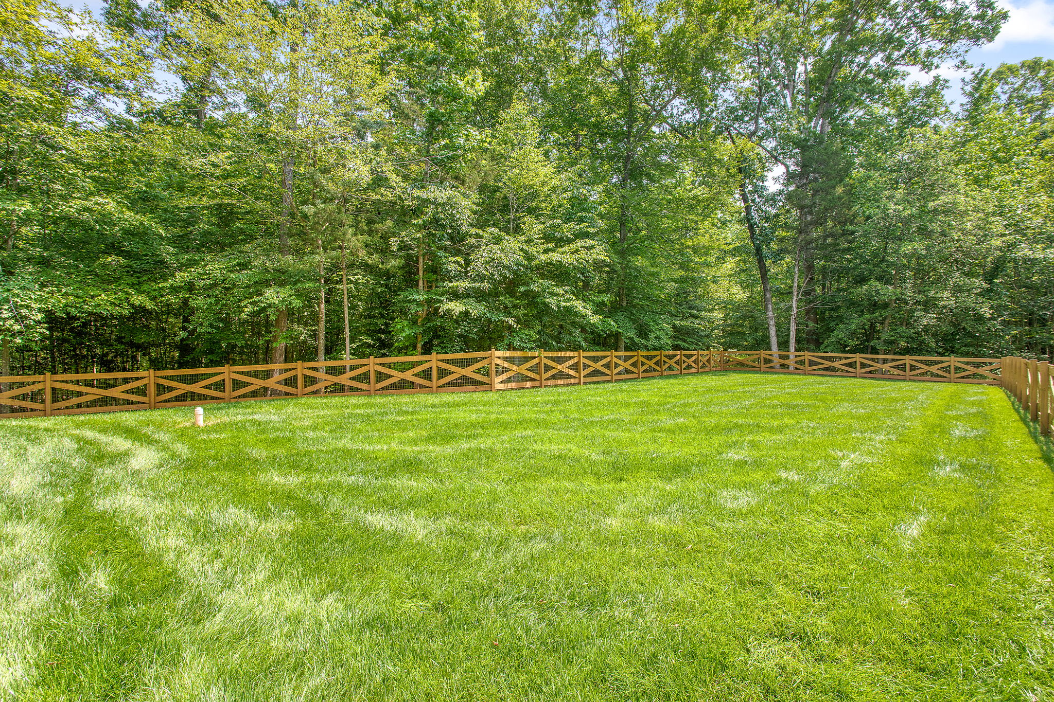 43-Backyard