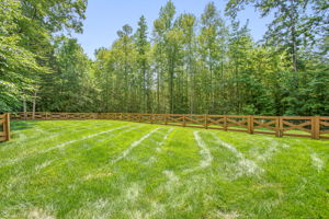 42-Backyard
