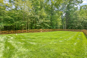 43-Backyard