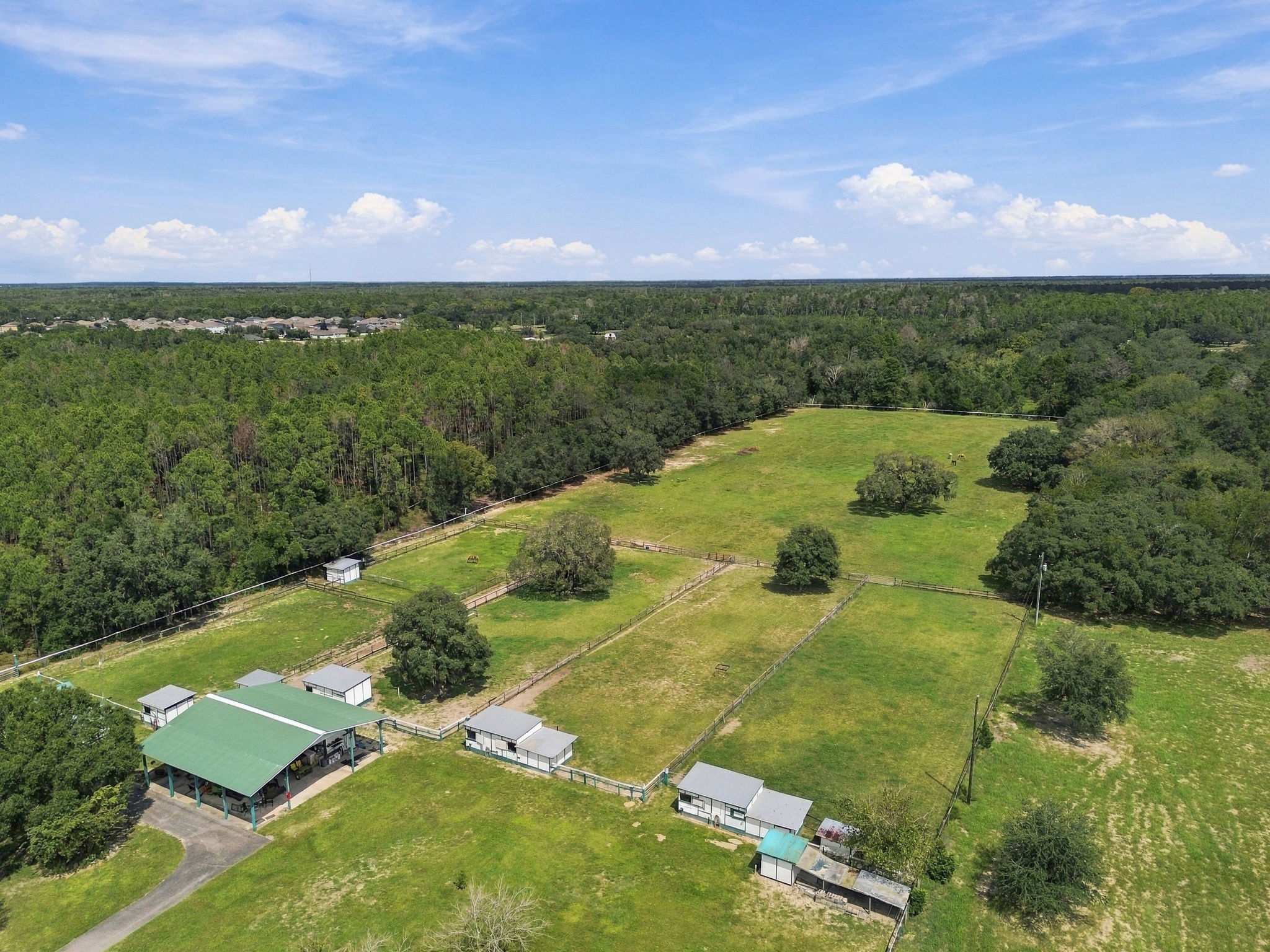 DJI_0091