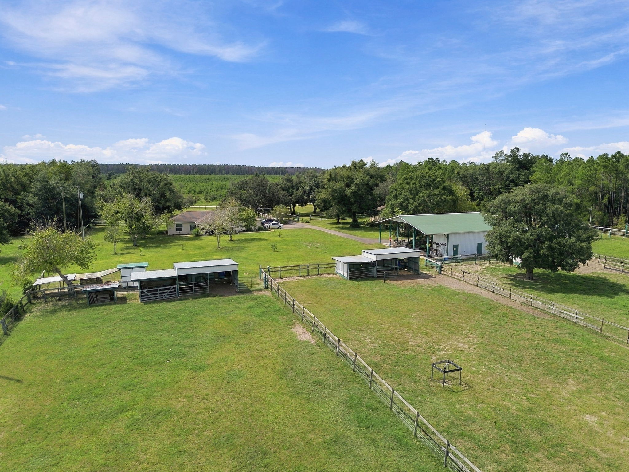 DJI_0142