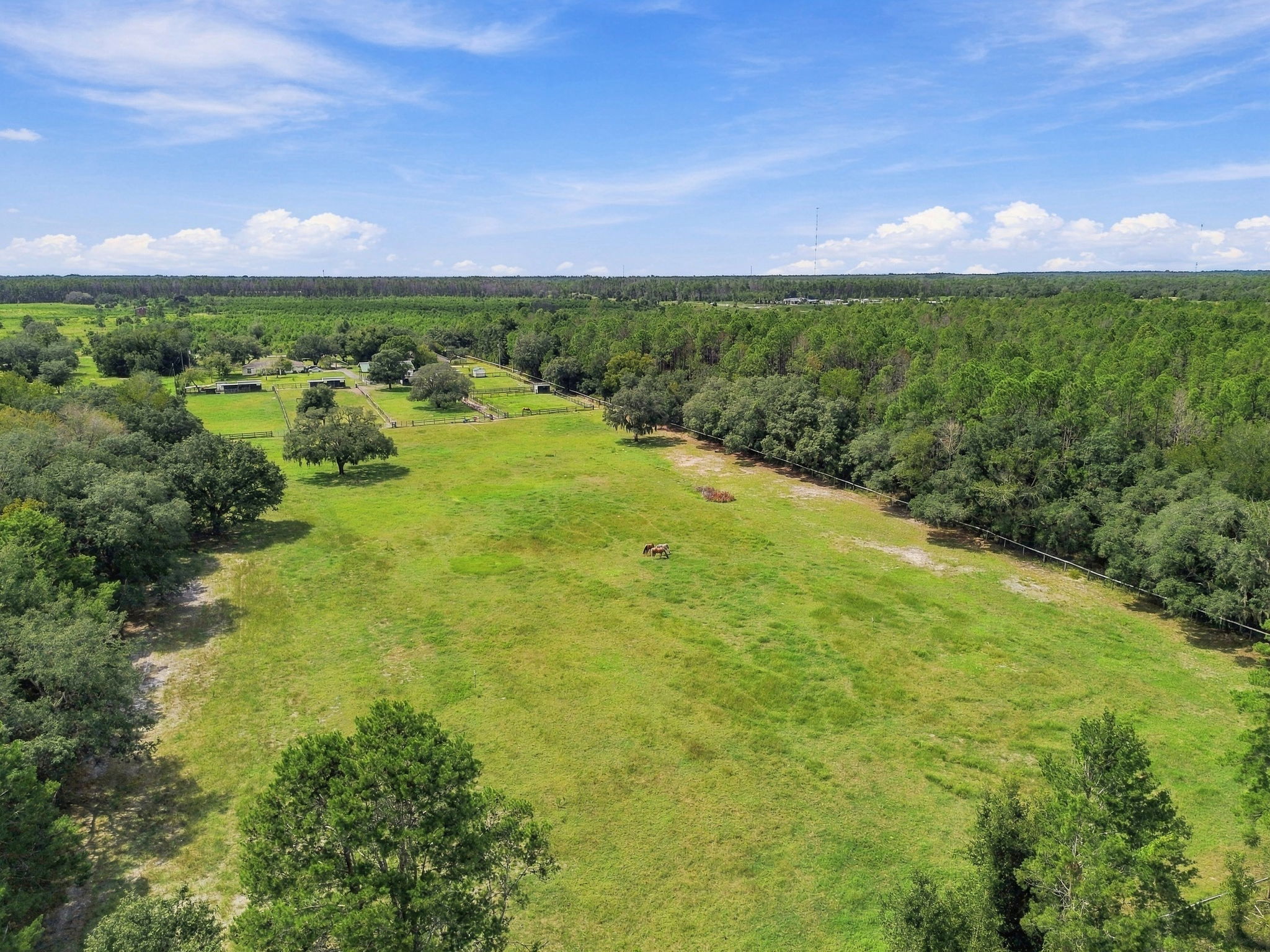 DJI_0168