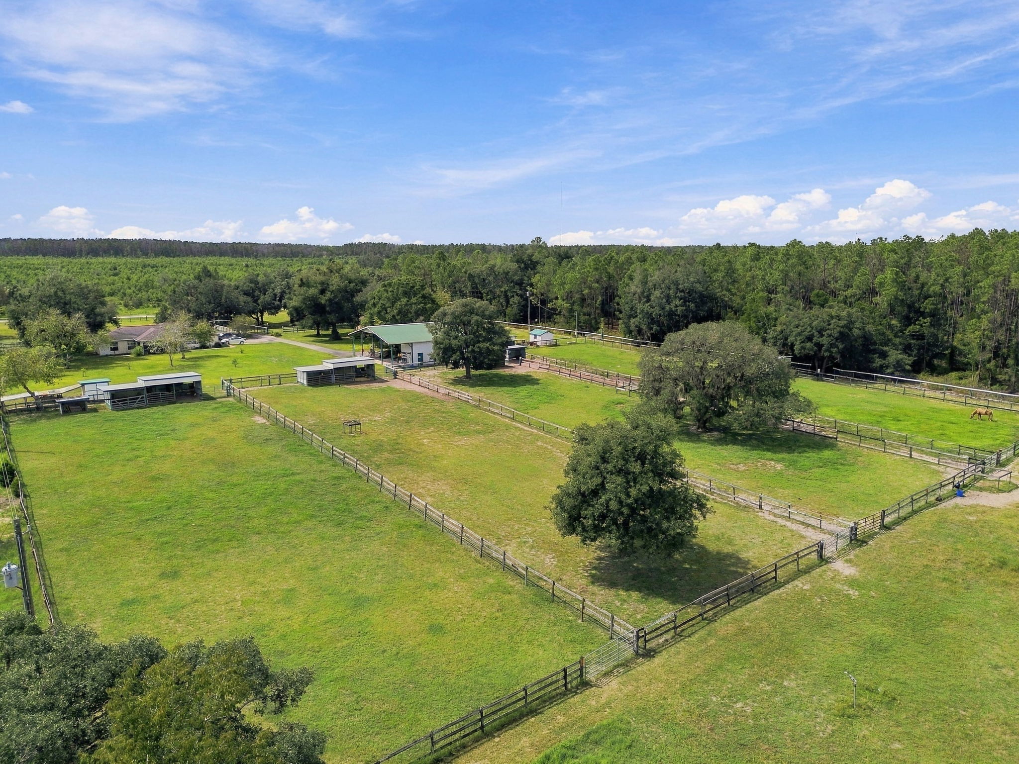 DJI_0189