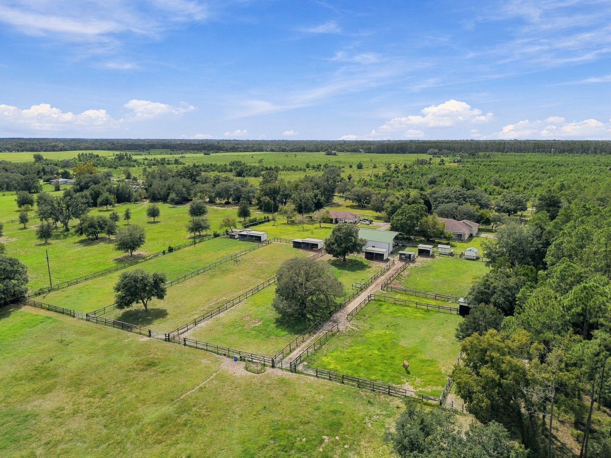 DJI_0193