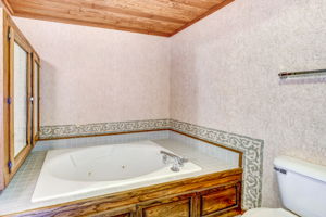 Lower Level - Bathroom