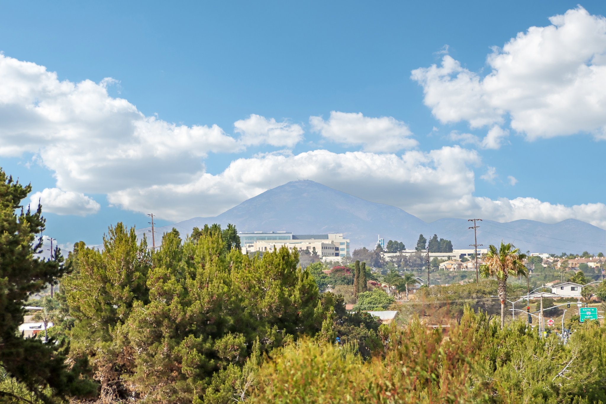 Max Ave-S1206-054.jpg