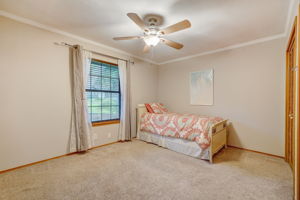 Bright Star St-041