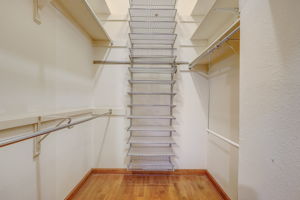 Bright Star St-035